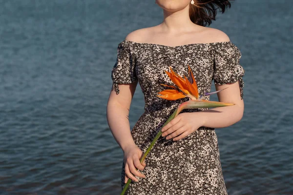 Arka Plan Denizinde Turuncu Egzotik Çiçekli Genç Bir Kadın — Stok fotoğraf