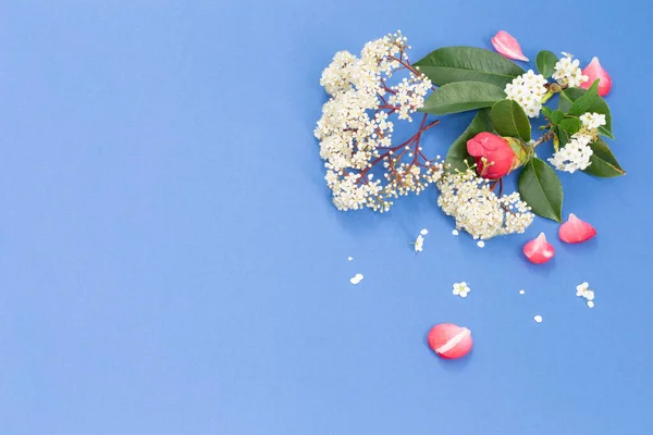 Mavi Arkaplanda Bahar Çiçekleri — Stok fotoğraf