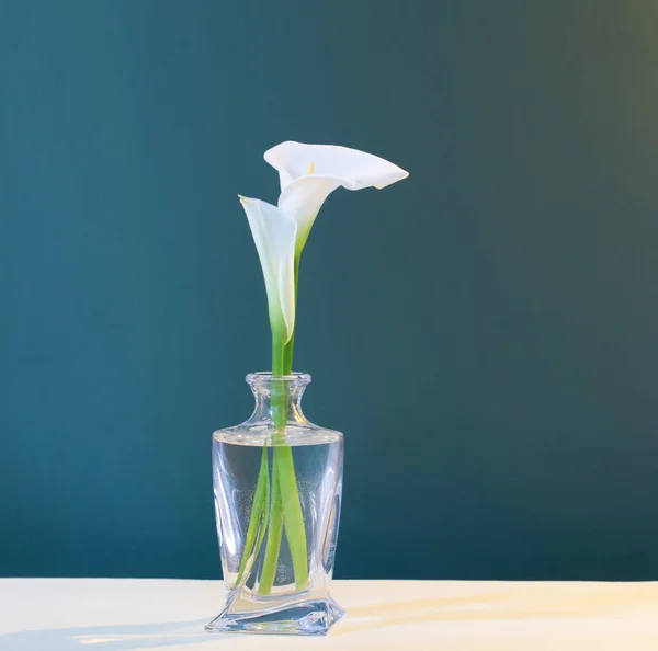 White Beautiful Flowers Glass Vase Green Background — Stock Photo, Image