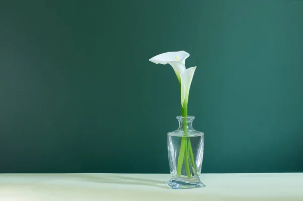 Białe Piękne Kwiaty Szklanym Wazonie Zielonym Tle — Zdjęcie stockowe