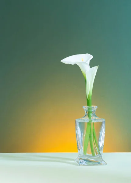 Witte Mooie Bloemen Glazen Vaas Groene Achtergrond — Stockfoto