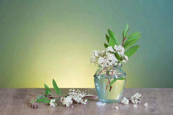 Białe Wiosenne Kwiaty Szklanym Słoiku Zielonym Tle — Zdjęcie stockowe