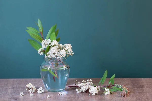 stock image white spring flowers in glass jar on green background