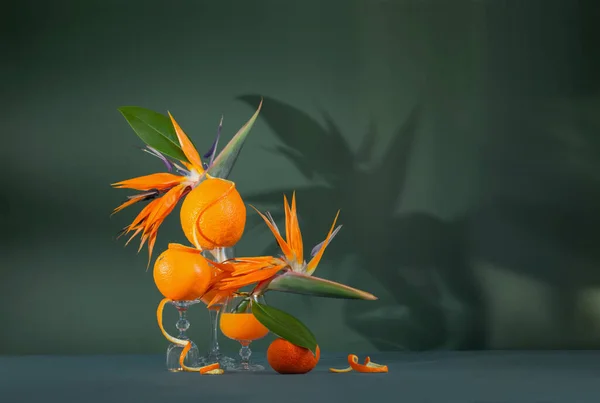 Egzotyczna Martwa Natura Ptakiem Rajskich Kwiatów Soku Pomarańczowego Owoców Pomarańczowych — Zdjęcie stockowe