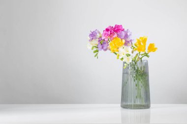 Beyaz arkaplanda cam vazodaki frezya çiçekleri