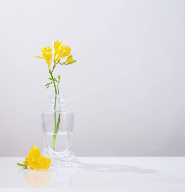 Beyaz arkaplanda cam vazoda sarı frezya