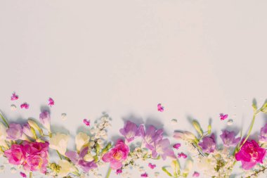 Sarı arka planda güzel çiçekler