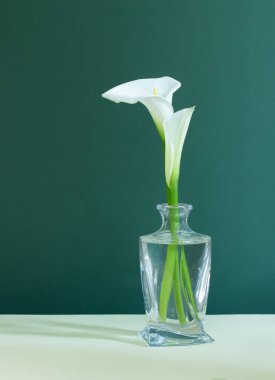 Yeşil arka planda cam vazoda beyaz güzel çiçekler.