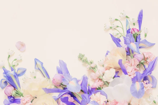 Schöne Frühlingsblumen Auf Pastellfarbenem Hintergrund — Stockfoto
