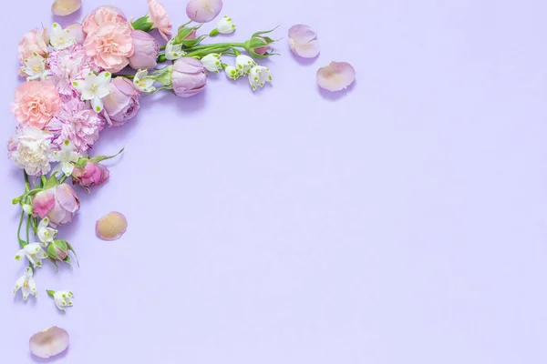 Красивые Весенние Цветы Фиолетовом Фоне — стоковое фото