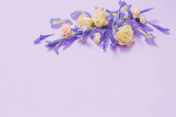 Hermosas Flores Primavera Sobre Fondo Púrpura —  Fotos de Stock