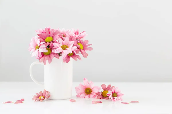 白底白杯中的粉红菊花 — 图库照片