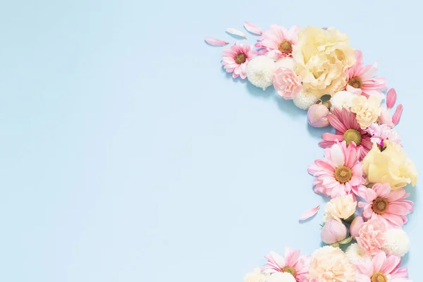 Vackra Blommor Blå Bakgrund — Stockfoto