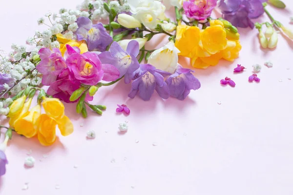 Flores Primavera Sobre Fondo Rosa Pastel —  Fotos de Stock