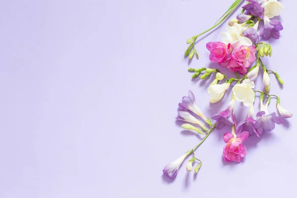 pink, white and purple flowers on light purple background