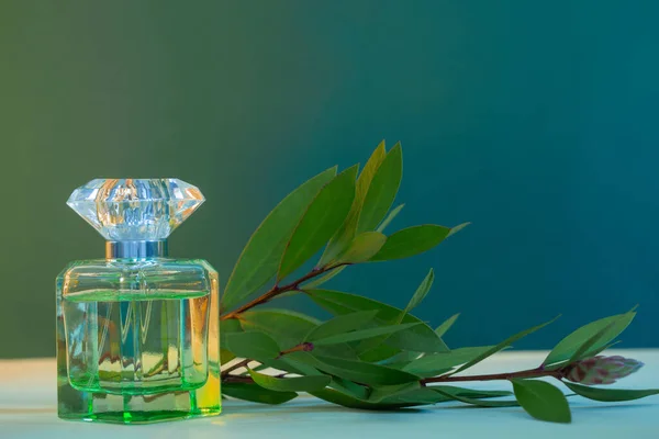 Frasco Perfume Con Plantas Sobre Fondo Verde — Foto de Stock