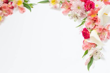 Alstroemeria çiçek beyaz arka plan üzerinde