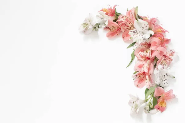 Alstroemeria Flores Fundo Branco — Fotografia de Stock