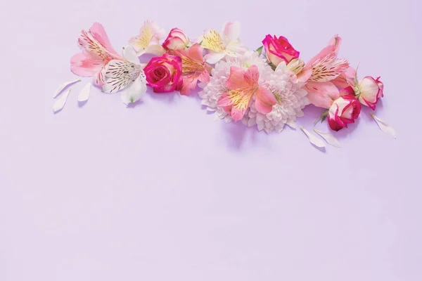 Blüten Von Alstroemerien Und Chrysanthemen Auf Violettem Hintergrund — Stockfoto