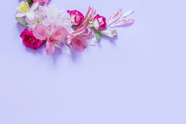 Blüten Von Alstroemerien Und Chrysanthemen Auf Violettem Hintergrund — Stockfoto
