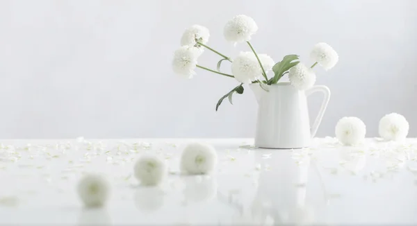 Белые Хризантемы Кувшине Белом Фоне — стоковое фото