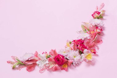 Alstroemeria ve kasımpatı pembe arka planda çiçek