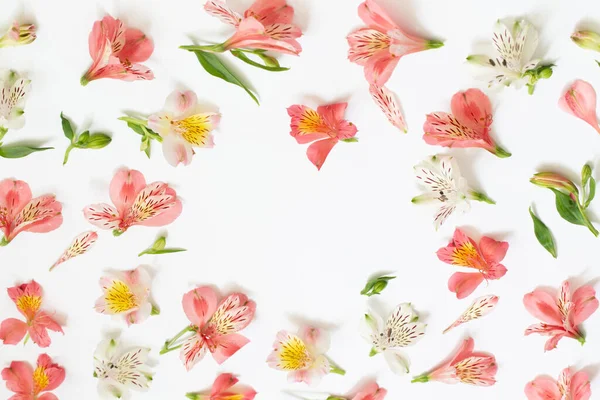 stock image alstroemeria flowers on white  background