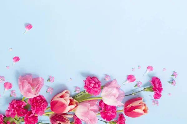 Красивые Весенние Цветы Голубом Фоне — стоковое фото