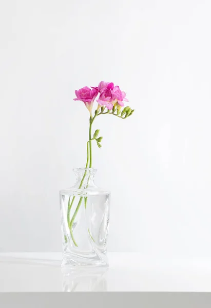 Rosafarbene Freesien Glasvase Auf Weißem Hintergrund — Stockfoto