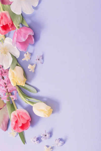 Mehrfarbige Frühlingsblumen Auf Lila Hintergrund — Stockfoto