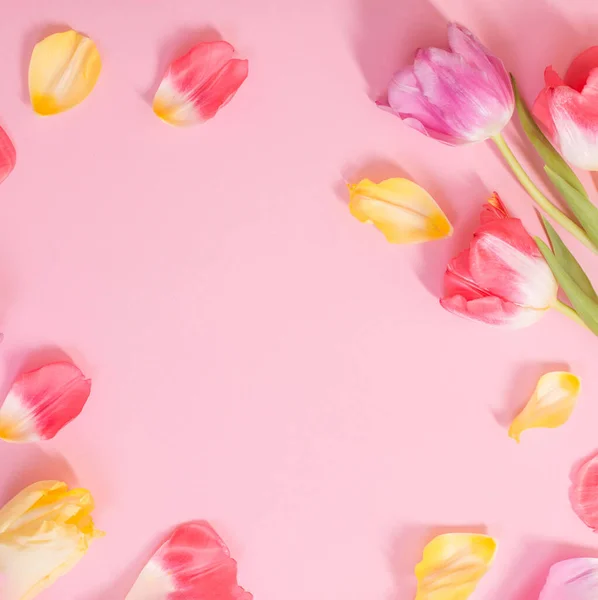 Flores Primavera Sobre Fondo Rosa — Foto de Stock