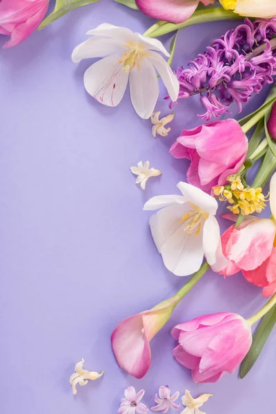 Flores Multicolores Primavera Sobre Fondo Púrpura —  Fotos de Stock