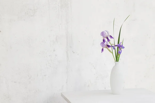 白色底色的白色花瓶中的虹膜 — 图库照片