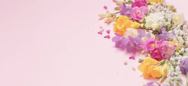 Pastel pembe arka planda bahar çiçekleri