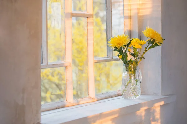 Yellow Flowers Background Window — Stock Photo, Image