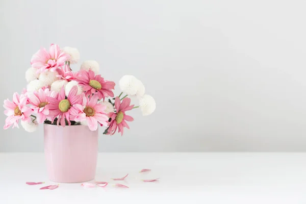 白い背景にピンクの花瓶に白とピンクの菊 — ストック写真