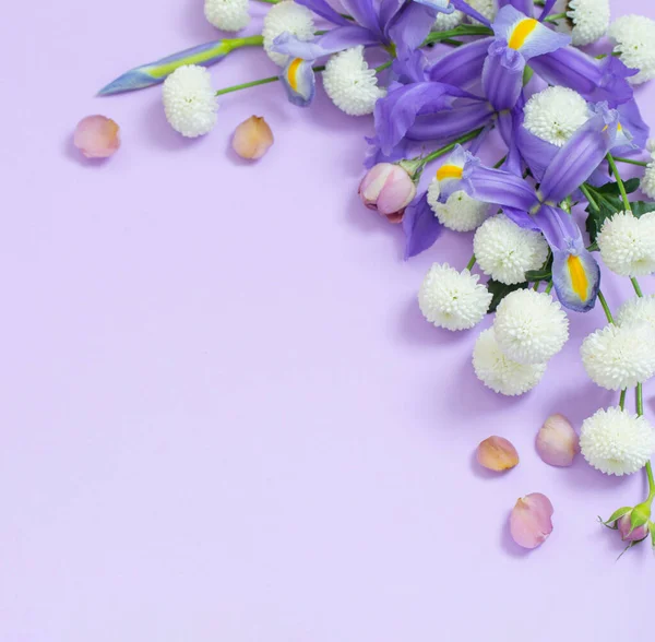 Gyönyörű Virágok Lila Papír Háttér — Stock Fotó