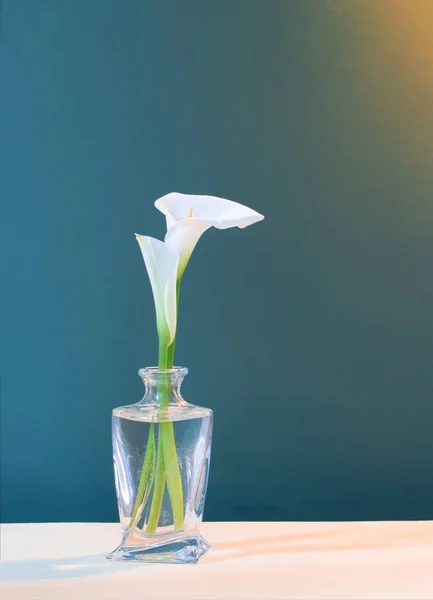 Hermosas Flores Blancas Jarrón Cristal Sobre Fondo Verde —  Fotos de Stock