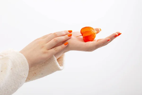 Ręka Samicy Pomarańczowym Manicure Physalis Białym Tle — Zdjęcie stockowe