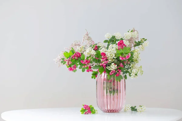 Розовая Белая Весна Цветущие Ветви Современной Стеклянной Вазе Белом Фоне — стоковое фото