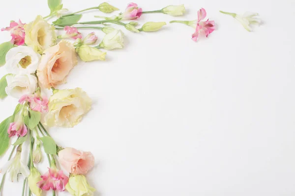 Tavasz Szép Virágok Fehér Háttér — Stock Fotó