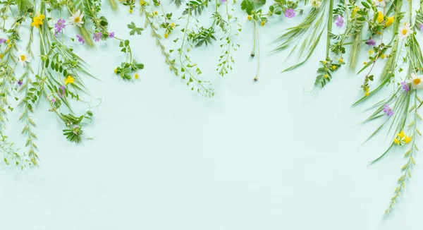 Дикая Трава Цветы Фоне Зеленой Бумаги — стоковое фото
