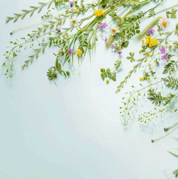 緑の紙の背景にある野生の草や花 — ストック写真