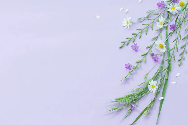 Divoké Květiny Fialovém Papíře Pozadí — Stock fotografie