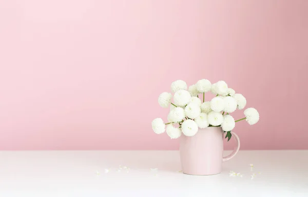 ピンク色のカップに白い菊 — ストック写真