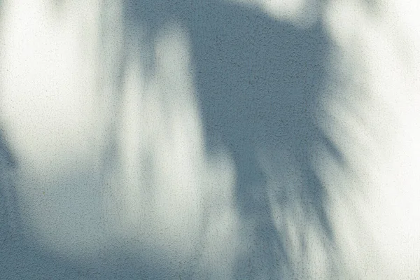 太陽光の下でヤシの葉が壁に影を落とす背景 — ストック写真