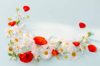 yaz çiçekleri mavi arka planda güneşli ışıkta