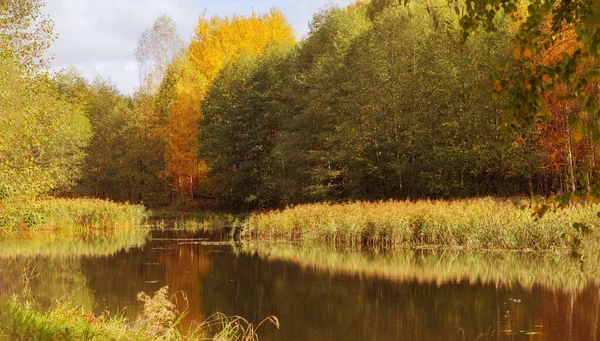 Φθινόπωρο Τοπίο Ποτάμι Στο Φως Του Ήλιου — Φωτογραφία Αρχείου