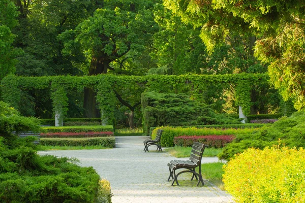 아름다운 도시의 공원의 — 스톡 사진