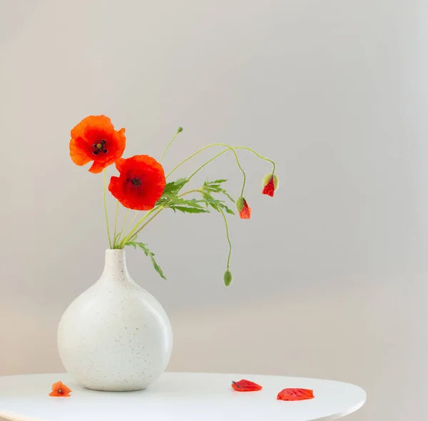 Red Poppies Vase White Background — Stock Photo, Image